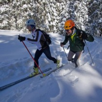 221639_499413493439432_712996123_n