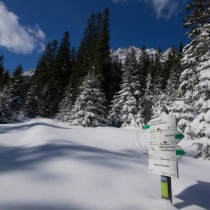 525027_499413546772760_1409937181_n