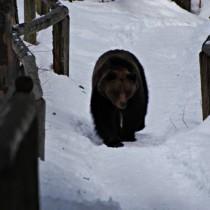 149537_165196366835547_5898124_n