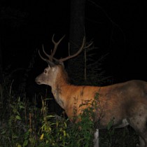 169748_181285735226610_8185120_o