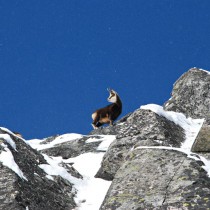 226870_537271706294676_1174088790_n