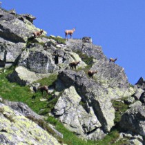 279168_235730653115451_213283_o