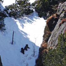 534221_421172004571314_1612320650_n