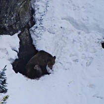 534430_421172351237946_1433087169_n