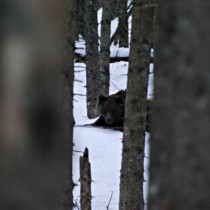 75867_165196213502229_1284737_n