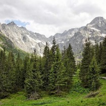 1013695_677455028937345_2046472130_n