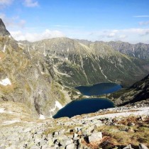 1017608_677454695604045_1534868602_n