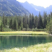 132552_182648071757043_4545323_o