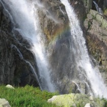 340216_253824884639361_1903959_o