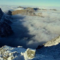 374510_495396450482202_750854259_n