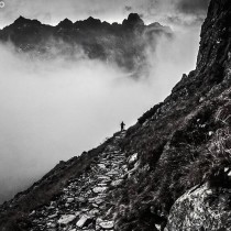 11921948_722738194527157_1926925803_n