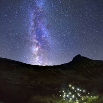 1_rosliny_Kuba_Sobczyk_U_podnozy_Rohacza