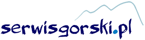 serwisgorski